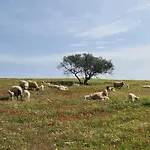 Casas Do Monte