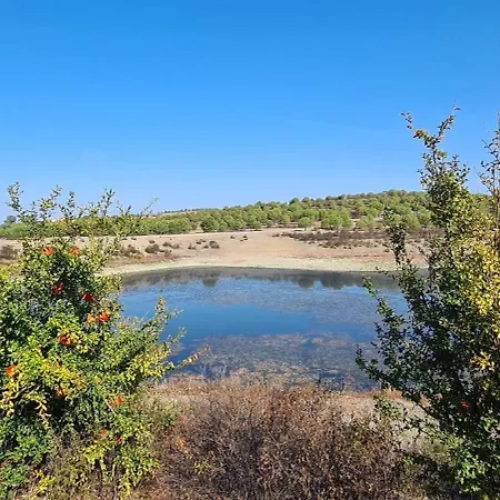 Villa Casas Do Monte