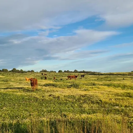 Casas Do Monte Villa
