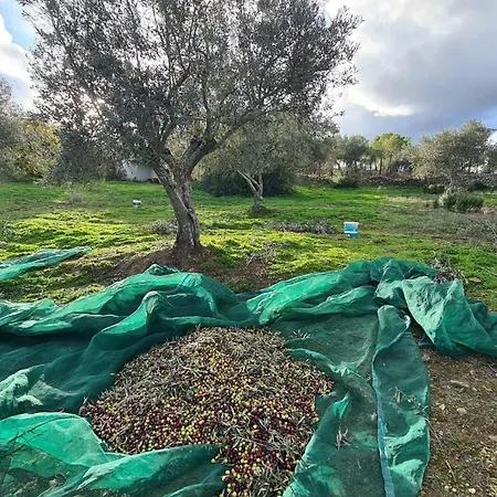 Casas Do Monte * Gioes