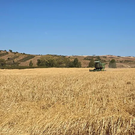 Casas Do Monte * Gioes