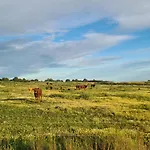 Casas Do Monte