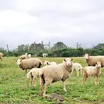 Casas Do Monte Gioes