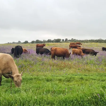 Casas Do Monte ヴィラ