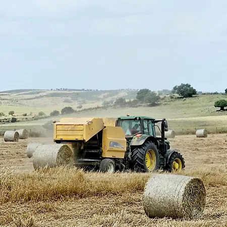 ヴィラ Casas Do Monte Giões