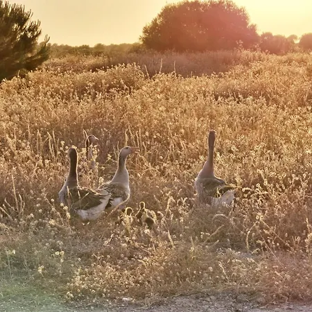 Casas Do Monte Вилла