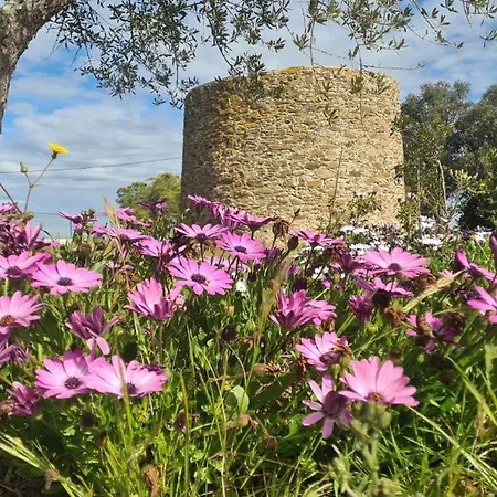 Casas Do Monte ヴィラ *