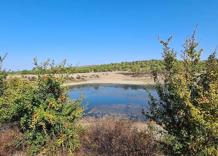 Villa Casas Do Monte