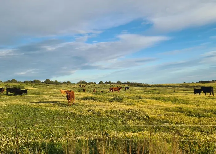 Casas Do Monte Villa