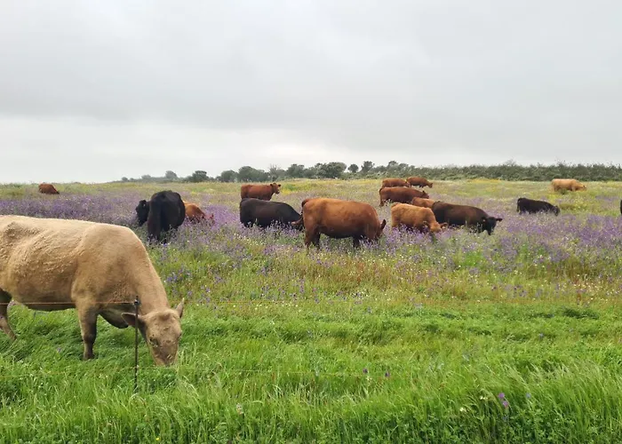 Casas Do Monte 别墅