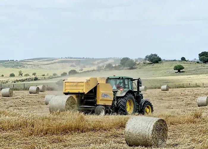 Villa Casas Do Monte Gioes