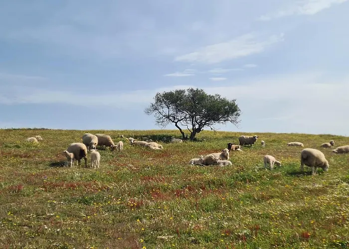 Casas Do Monte Gioes