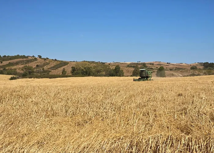 Casas Do Monte * Gioes