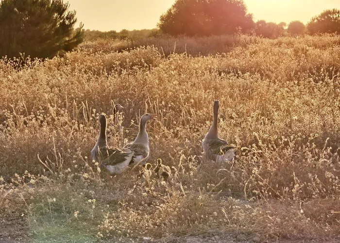 Casas Do Monte Villa