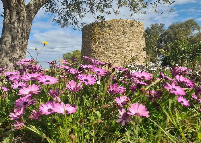 Casas Do Monte 别墅 *